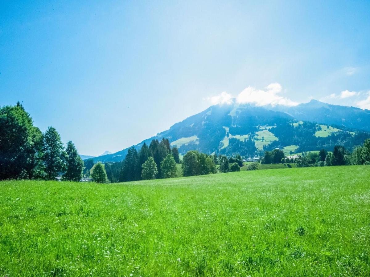 Cosy Flat In Westendorf In Tyrol Holzham المظهر الخارجي الصورة